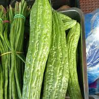 Semi di Lunga Melanzana Amara