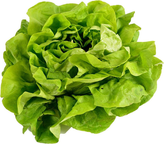 Heirloom Lettuce Seeds – Non-GMO for Planting
