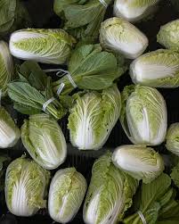 Graines de chicorée verte et blanche - pour jardins