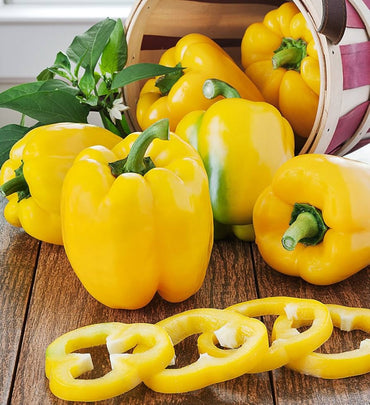 Graines de poivron jaune pour la plantation