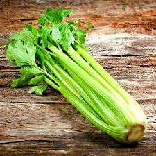 Home Garden Celery Seeds