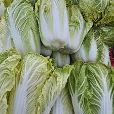 Chicory Green and white  Seeds - for Gardens