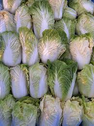 Chicory Green and white  Seeds - for Gardens