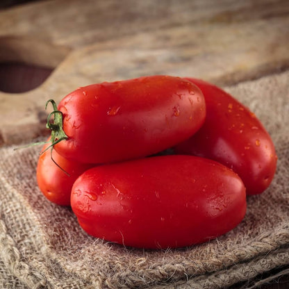 Huge Long San Marzano Tomato Seeds