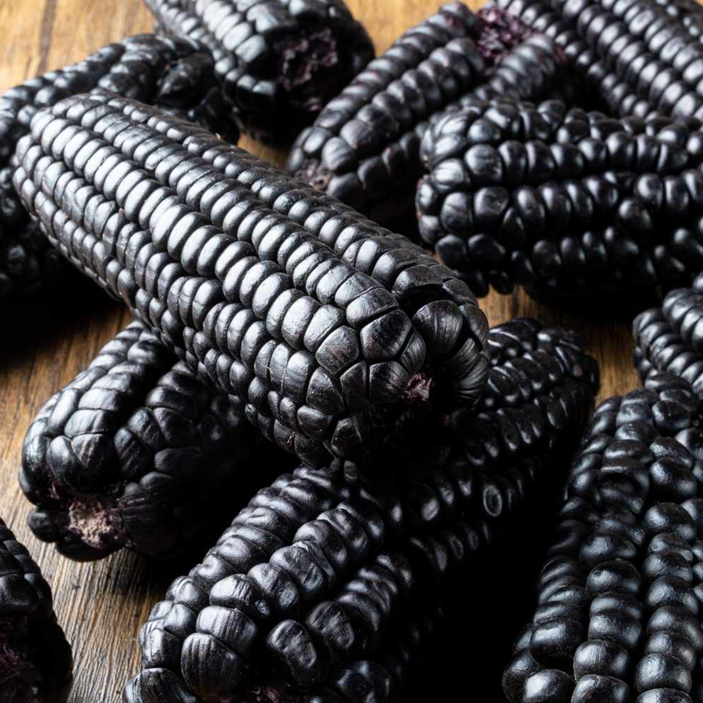 Purple Corn Seeds