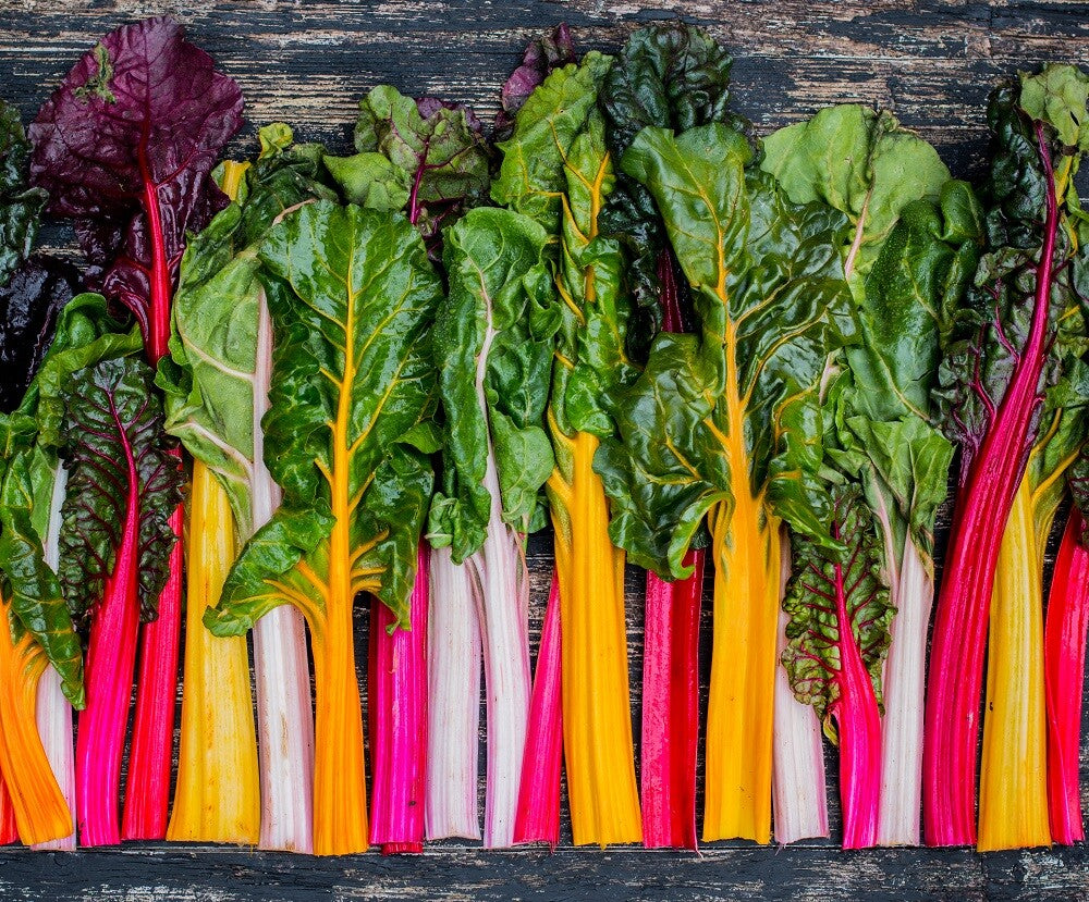 Semi di Bietola – Varietà Arcobaleno