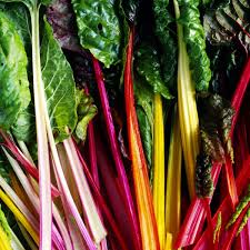 Semi di Bietola – Varietà Arcobaleno