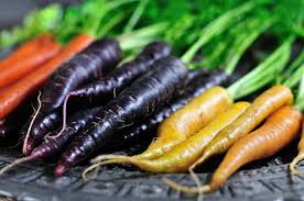Rainbow Carrot Seeds – Heirloom Non-GMO for Planting
