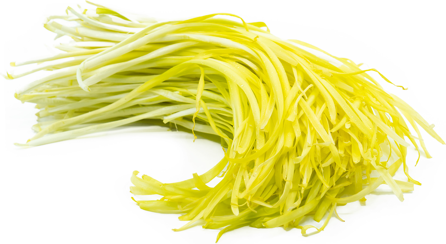 Semillas de hierba de cebollino amarillo