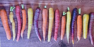 Rainbow Carrot Seeds – Heirloom Garden Variety