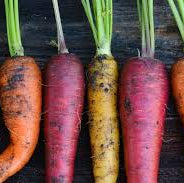 Rainbow Carrot Seeds – Heirloom Garden Variety