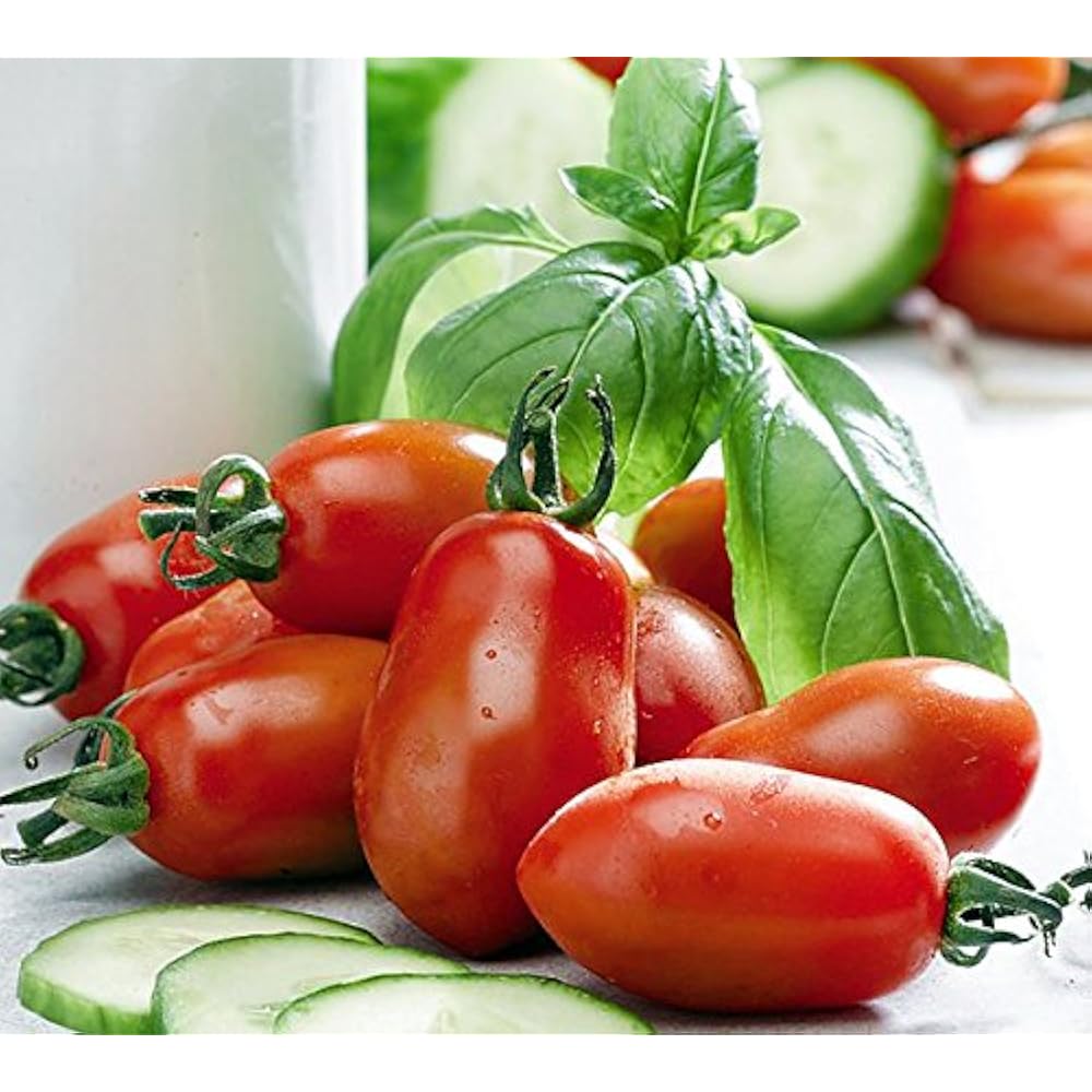 Semi di pomodoro San Marzano da collezione – Non-OGM