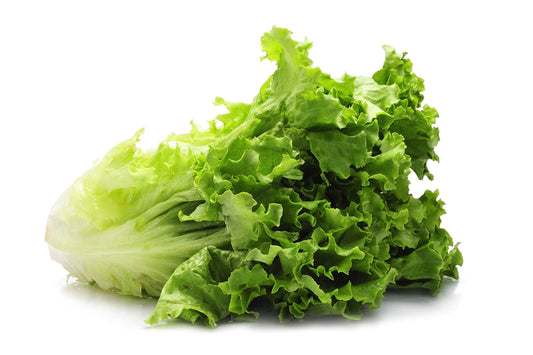 Heirloom Lettuce Seeds for Planting