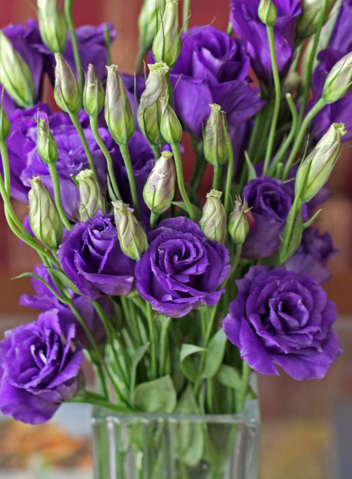Quality Lisianthus Seeds for Home Garden Enthusiasts