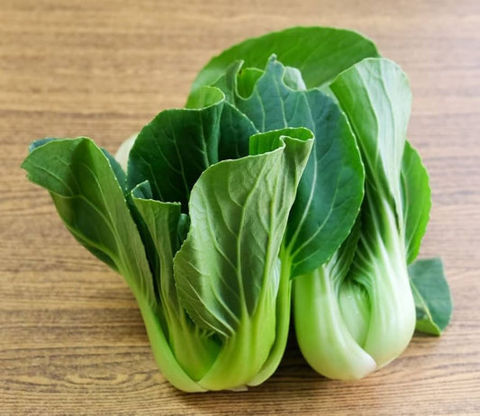 Graines patrimoniales de Bok Choi Toy Choy Baby Choy pour sauté