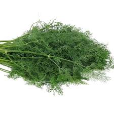 Dill Bouquet Seeds