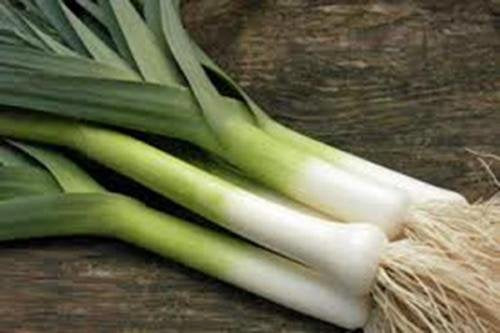 American Flag Leek Seeds