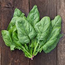 Winter Giant Spinach Seeds