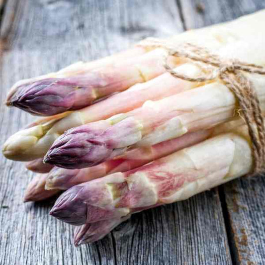 Semi di Asparagi Viola Argenteuil