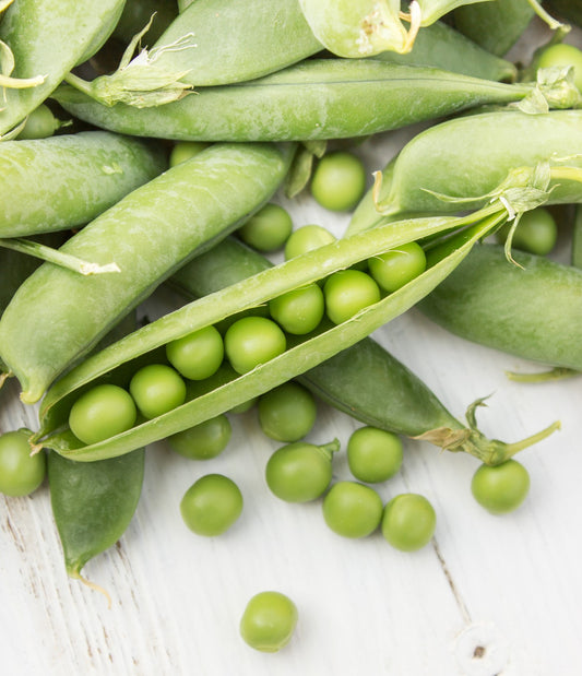 "Asparagus Pea Vegetable Seeds