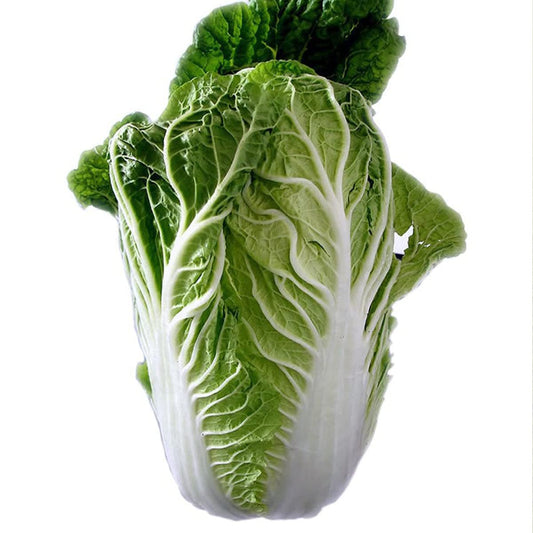 Graines de chou chinois Bok Choy