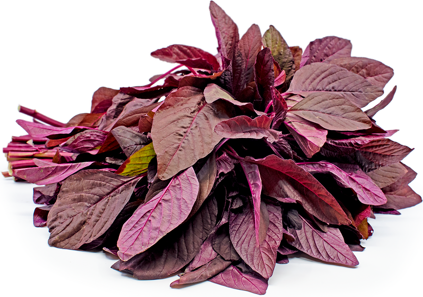 Red Spinach Seeds