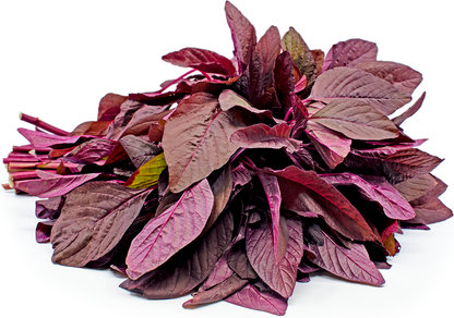 Red Spinach Seeds