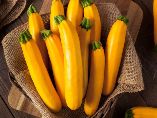 "Survival Garden Zucchini & Squash Seed Vault