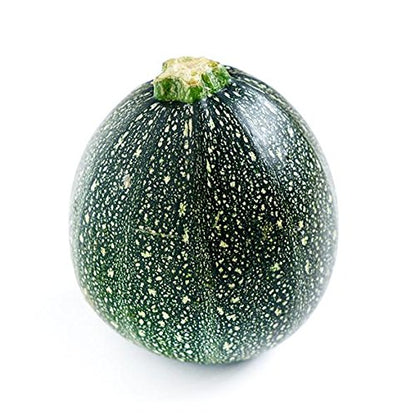 丸ズッキーニの種