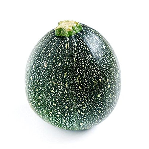 丸ズッキーニの種