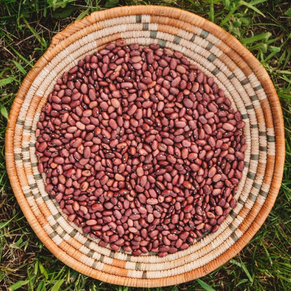 Hidatsa Red Pole Bean