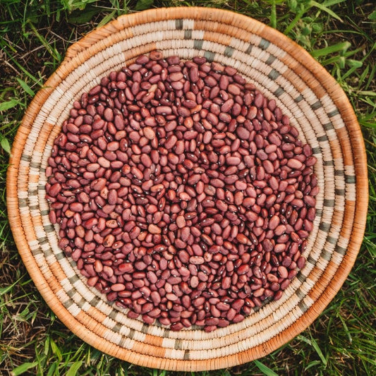 Hidatsa Red Pole Bean