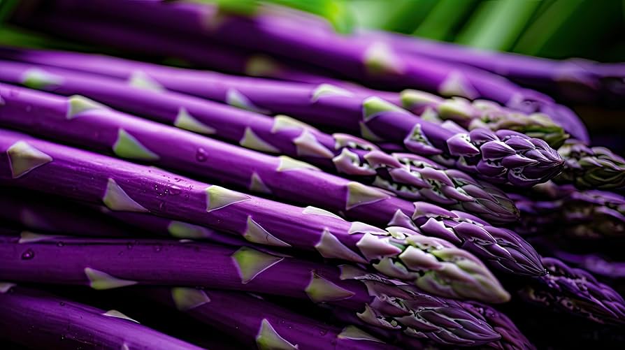 "Purple Passion Asparagus seeds
