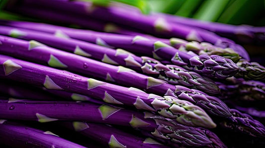 "Purple Passion Asparagus seeds