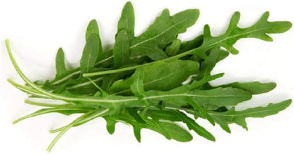 Roquette Rucola Samen