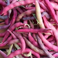 Runner Bean Heirloom Premium Seeds