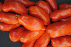 Collection de graines de tomate pâte de jardin de survie