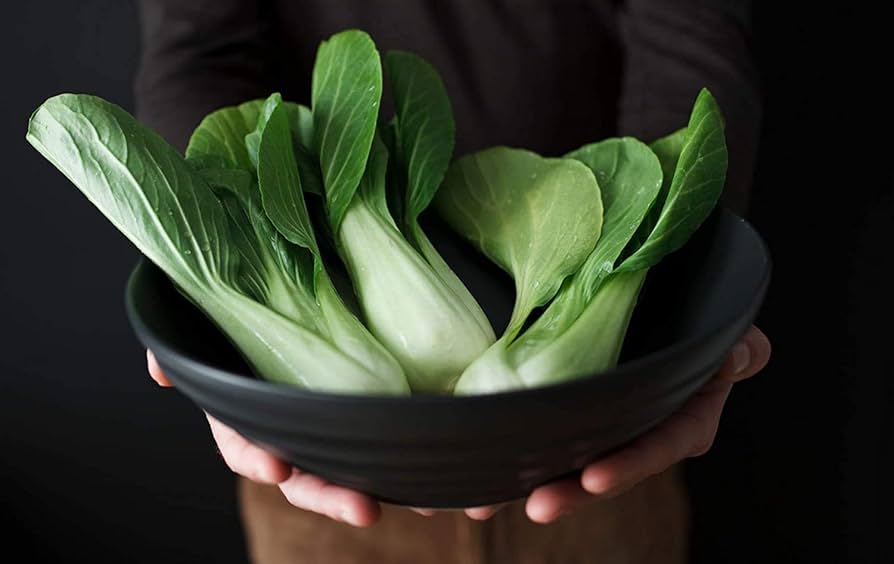 Semi di Bok Choy Benedizione di Gaea
