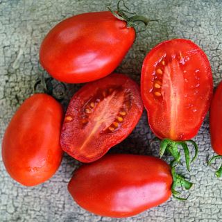 Graines de tomate Roma de Martino