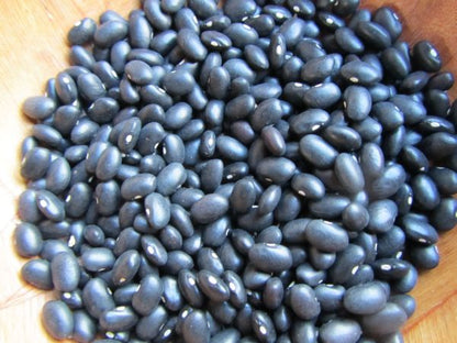 Black Turtle Seeds