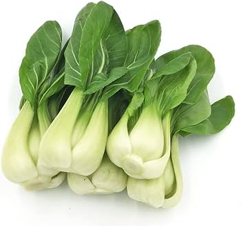 Graines héritage non-OGM de bok choy bébé premium