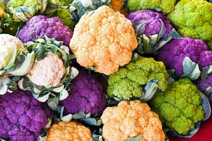 Mélange de graines de choux-fleurs variétés violette, verte et jaune