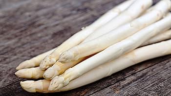Graines d'asperges blanches