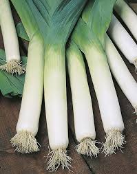 Leek Autumn Giant Seeds