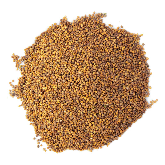 Semi di Rucola Microgreens – Sacchetto richiudibile sfuso da 1 LB