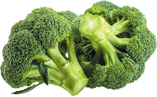Semi di microgreens di broccoli – Alta germinazione