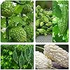 Graines de melon amer - Graines de ferme et de jardin héritage