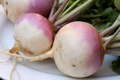 Turnip Seeds for Fall & Spring Planting