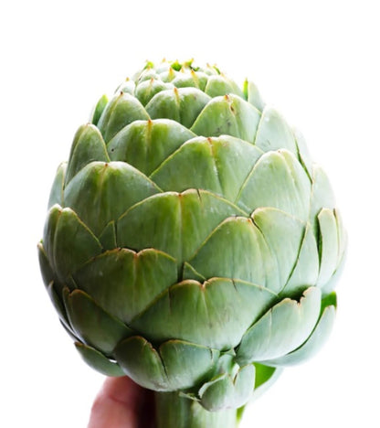 アーティチョークの種 - 珍しい庭園用野菜の種