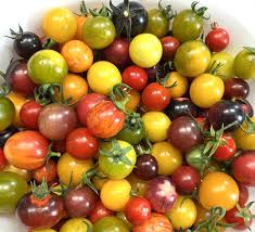 Kirschtomaten-Samen gemischt